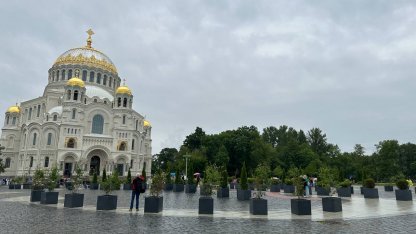 Временный сад