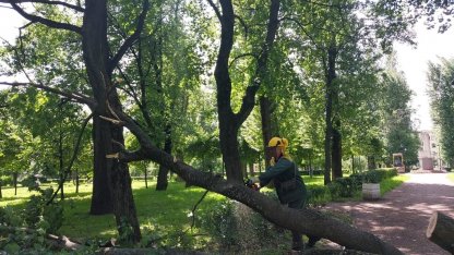 сад