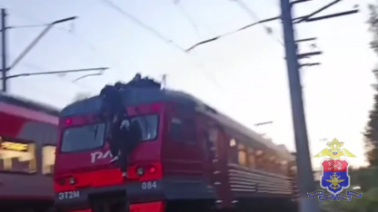 зацеперы