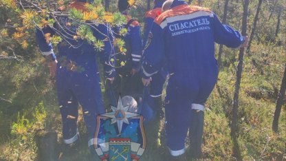 спасли