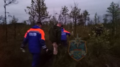 пропавший в лесу
