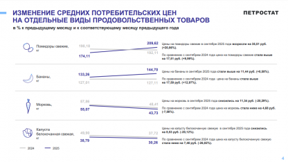 петростат