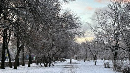 снег