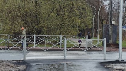 зебра