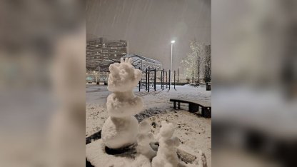 снеговик