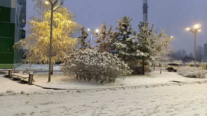 снег