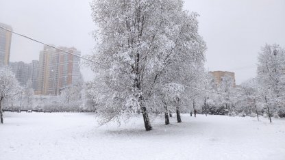 погода