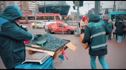 голубика
