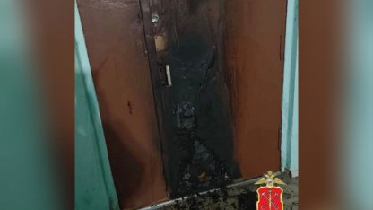 Поджог по заданию из мессенджера