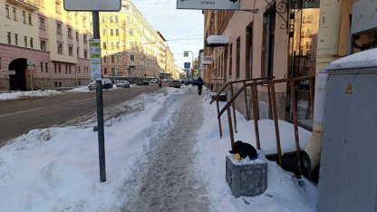 снег 9