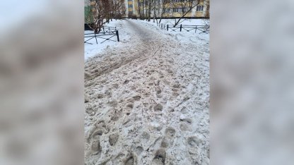 снег