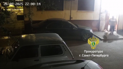 дама с собачкой