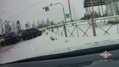 МВД