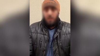 иностранца могут лишить гражданства
