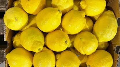 Запретили ввоз фруктов