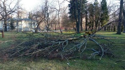 ветровал