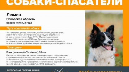 собака