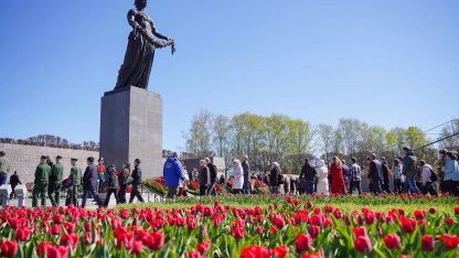 пискаревка