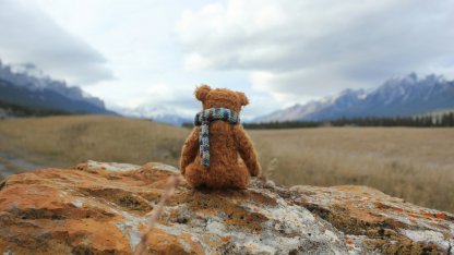 Плюшевый медведь