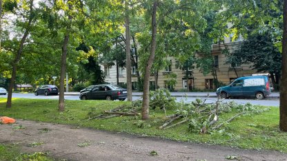 Ураган в Петербурге