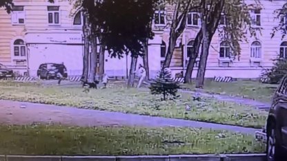 ротвейлер