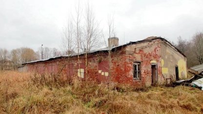 Оранжерея в Петергофе