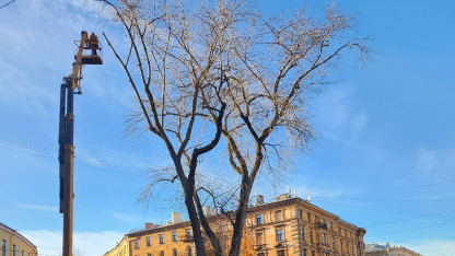 Тополь