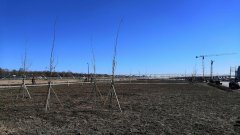 намыв Васильевского острова
