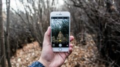 смартфон в лесу