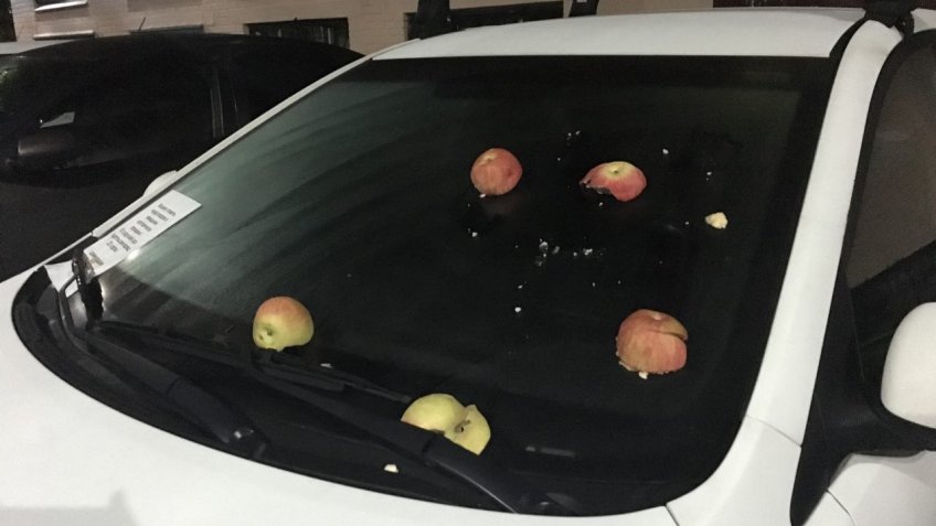 авто