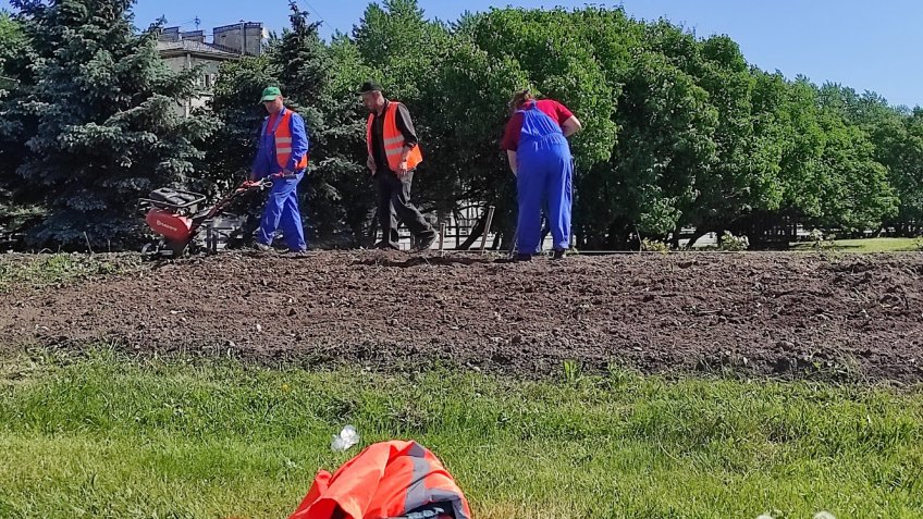 цветы