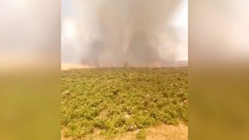 пожар в заказнике