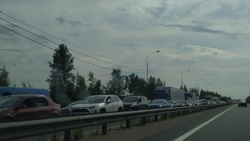 Пробка на коле