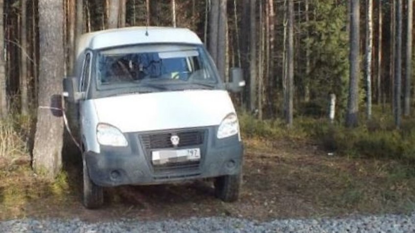ГАЗ Соболь