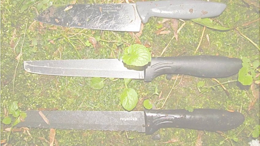 ножи, краснопутиловская, убийство