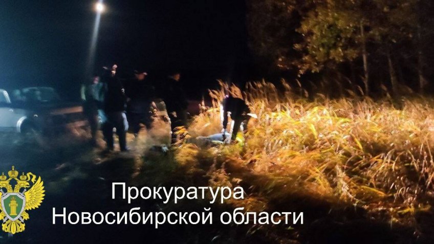 охота 