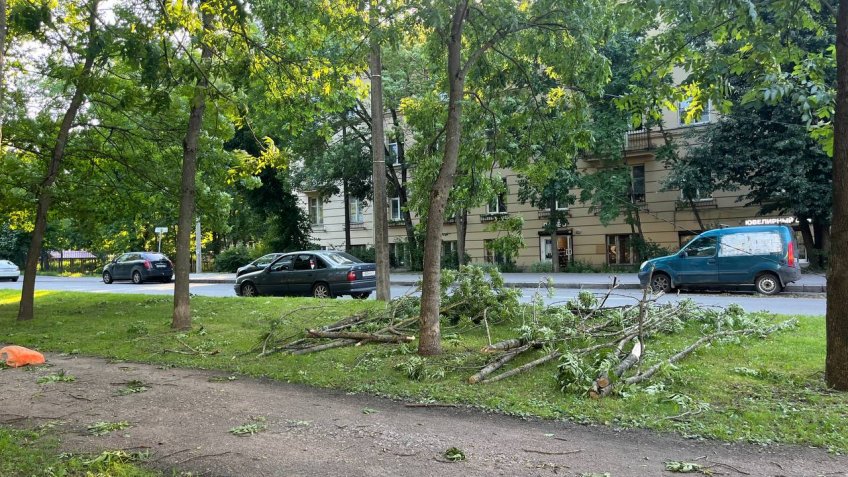 Ураган в Петербурге