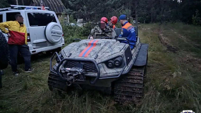 упавшие деревья