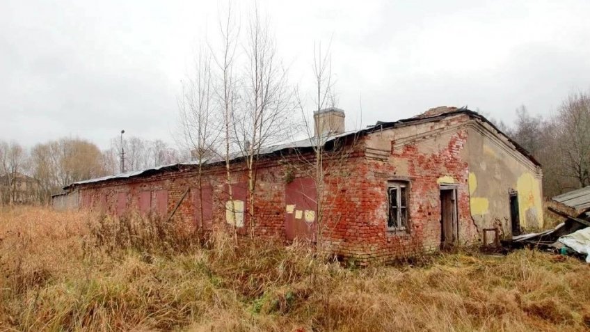 Оранжерея в Петергофе